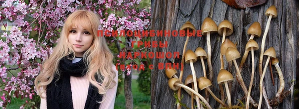 трава Краснотурьинск