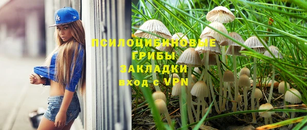 трава Краснотурьинск