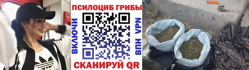 Псилоцибиновые грибы Magic Shrooms  наркошоп  кракен   Копейск 