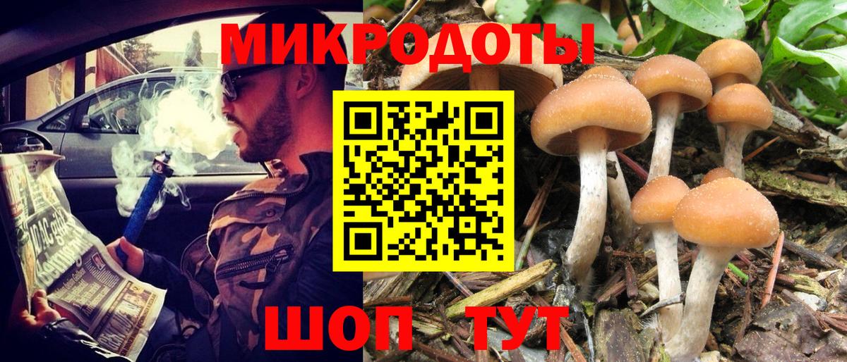 Галлюциногенные грибы Psilocybine cubensis  Вход с VPN  Галлюциногенные грибы Cubensis  Копейск 