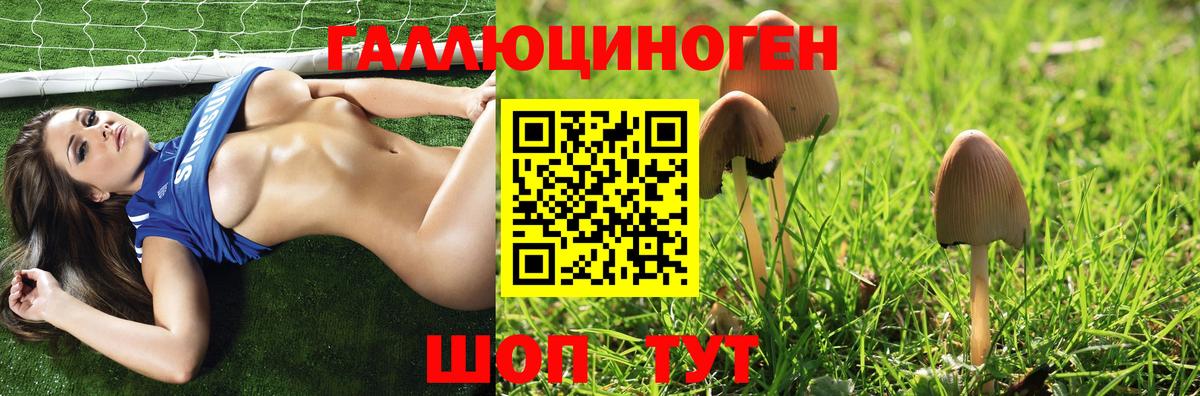 Галлюциногенные грибы мухоморы Копейск