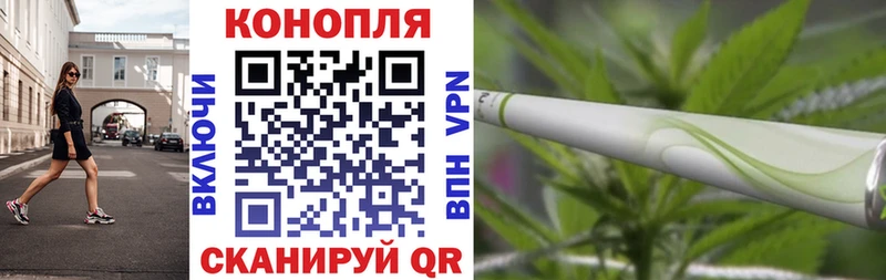 KRAKEN Копейск Шишки марихуана ГИДРОПОН